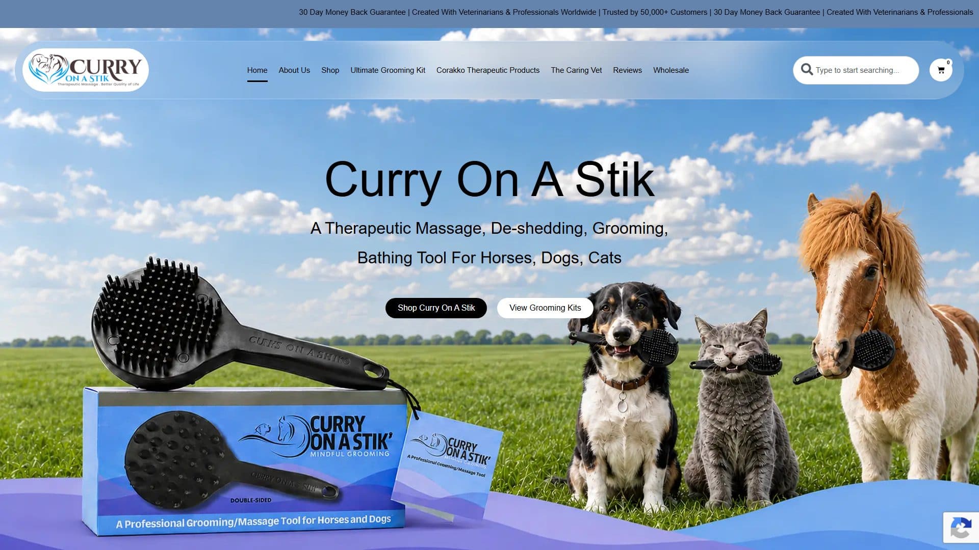 First screen of the Curry On A Stik homepage on desktop